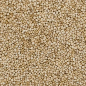 1218